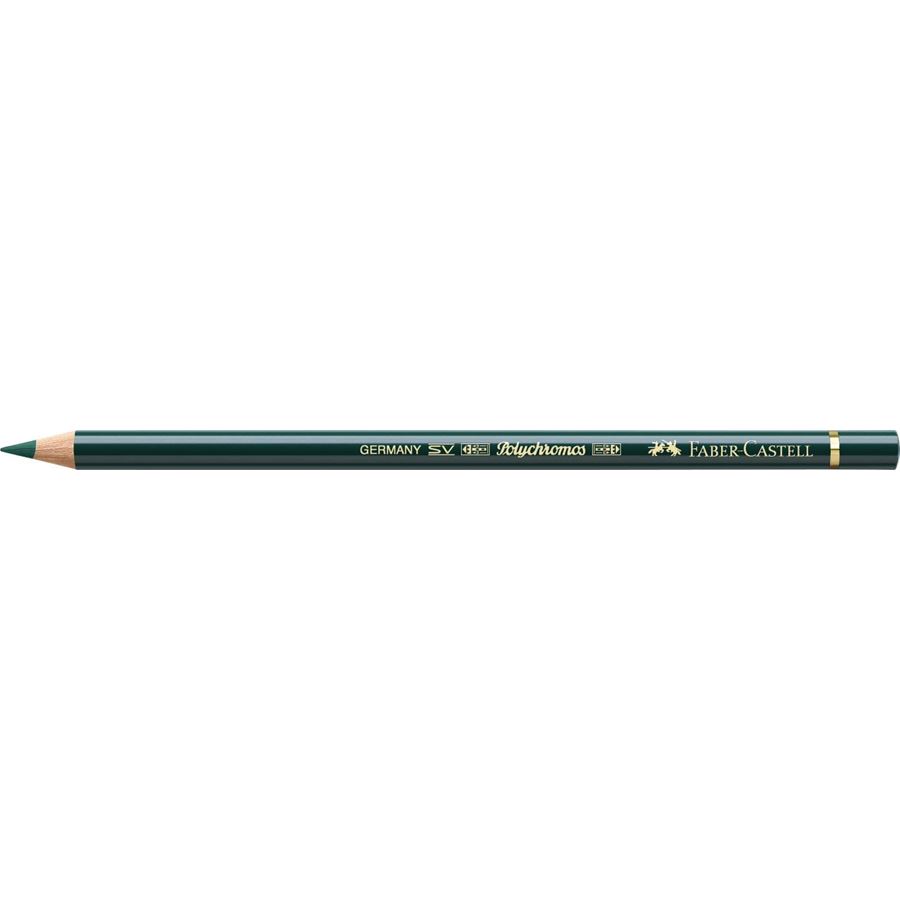 Polychromos Colour Pencil pine green