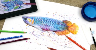 Ikan Biru dengan Watercolour Pencil Albrecht Durer