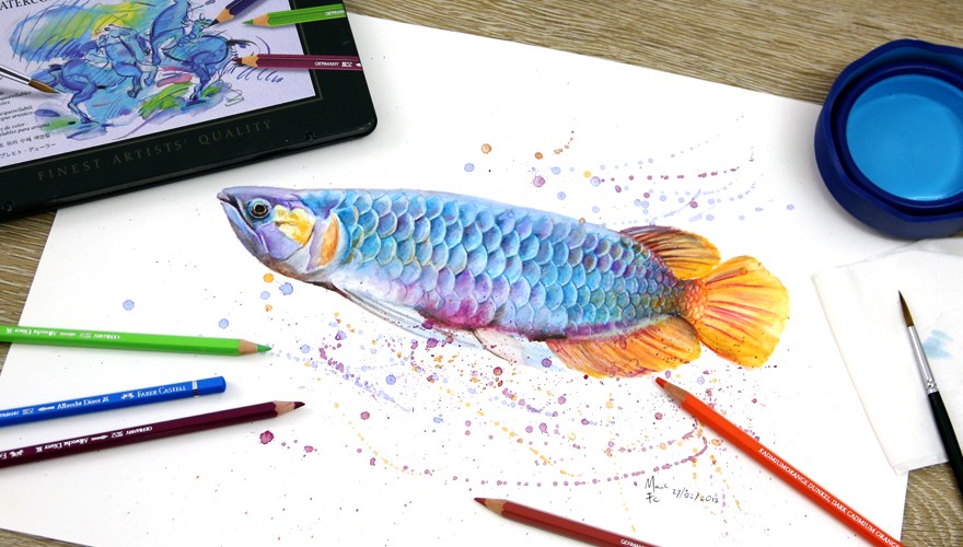Ikan Biru dengan Watercolour Pencil Albrecht Durer