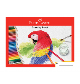 Drawing Book A4 parrot