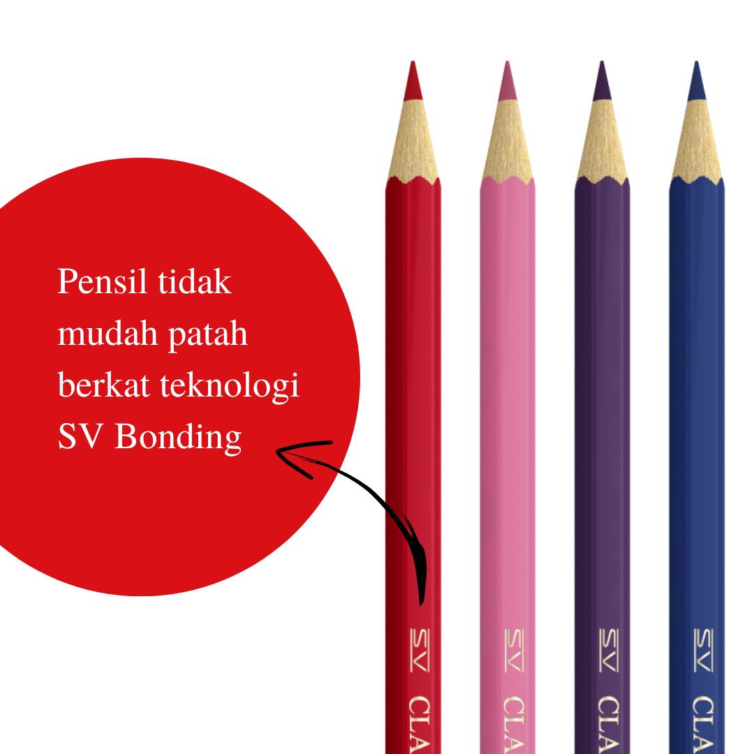 Colour Pencils in Tin Case 36 L