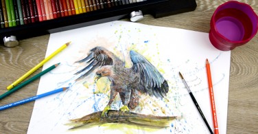 Gambar Elang dengan Watercolour Pencil Albrecht Durer