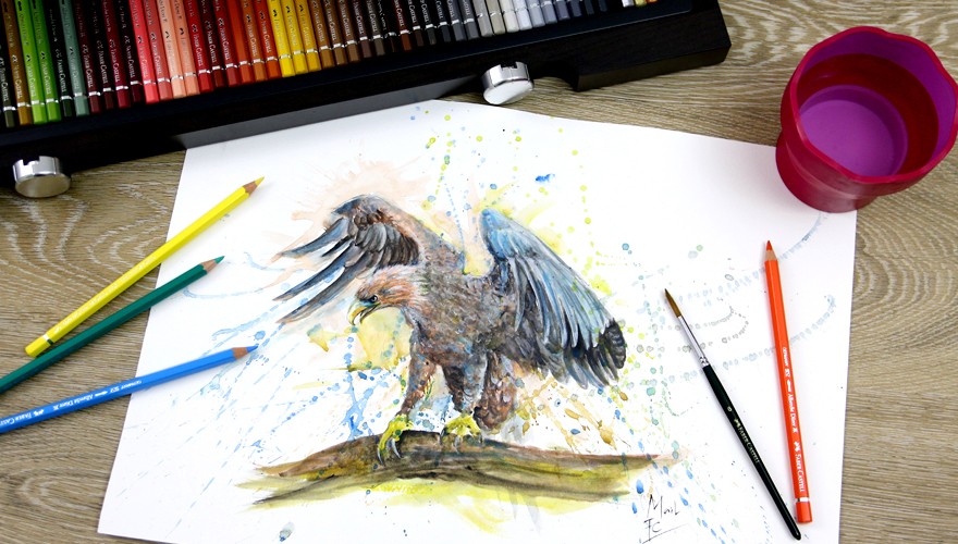 Gambar Elang dengan Watercolour Pencil Albrecht Durer